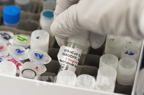 EU và 14 nước kêu gọi phân phối công bằng vaccine ngừa COVID-19
