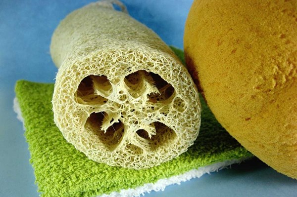 Thanh Hóa hỗ trợ hơn 4 tỷ đồng liên kết sản xuất theo chuỗi giá trị