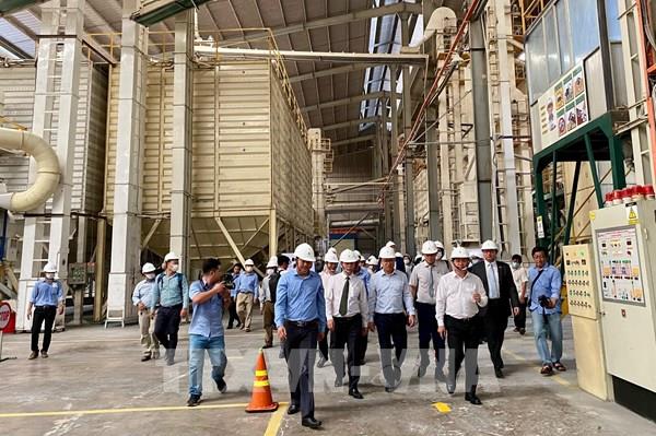 Xuất khẩu 126 tấn gạo thơm Jasmine 85 sang EU theo EVFTA