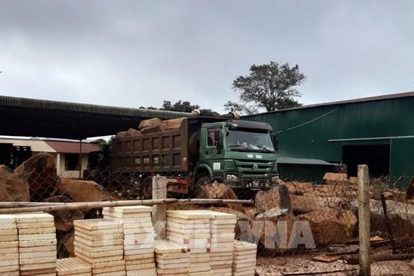 Phản hồi thông tin của TTXVN: Kiểm tra việc tiêu thụ, chế biến khoáng sản trái phép