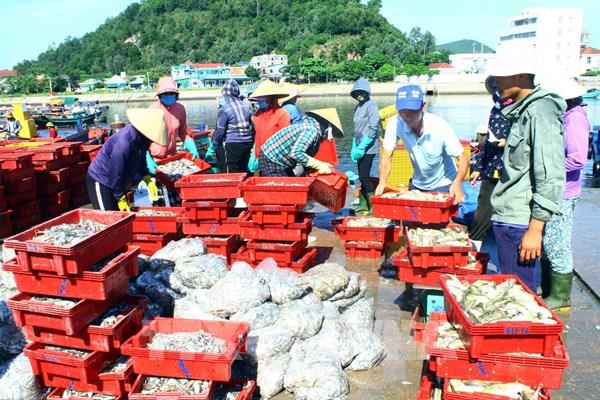 Nhộn nhịp bến cá Nghi Thủy (Nghệ An)