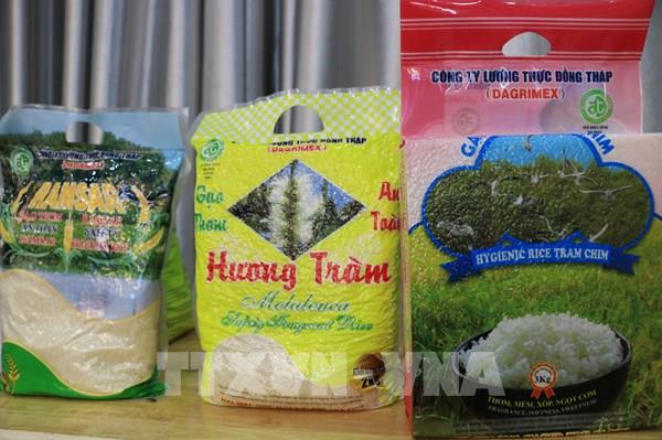 Công bố kết quả liên kết chuỗi giá trị lúa gạo dự án VnSAT