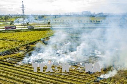 Làm sao ngăn đốt rơm rạ khu vực quanh sân bay?