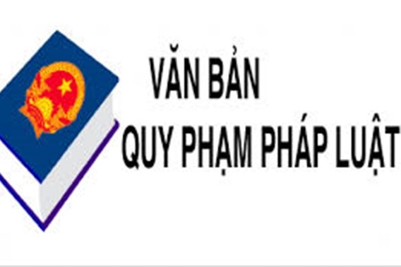 Ban hành 18 văn bản quy phạm pháp luật trong tháng 8/2020