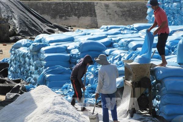 Diện tích sản xuất muối ngày càng giảm