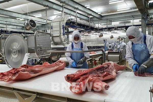 Masan chuẩn bị đưa vào hoạt động tổ hợp chế biến thịt mát thứ 2 tại Long An