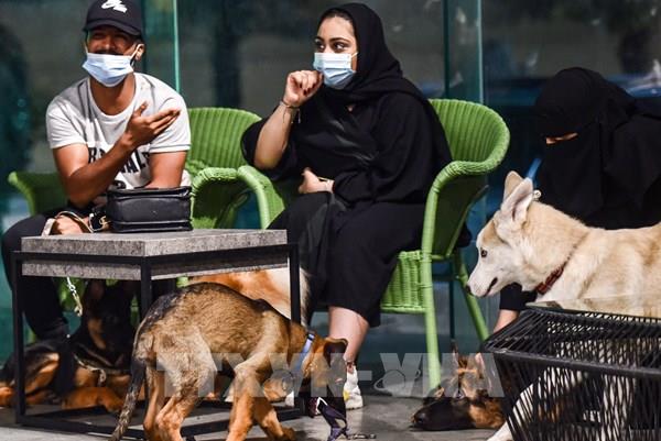 Quán cà phê đầu tiên dành cho chó tại vương quốc Hồi giáo