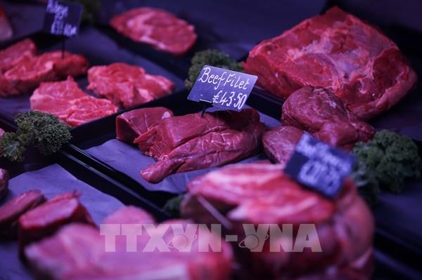 Xuất khẩu thịt, hải sản của Anh sang EU phục hồi