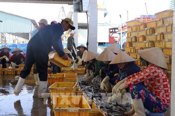 Kiên Giang mở 2 Cảng cá Tắc Cậu và An Thới