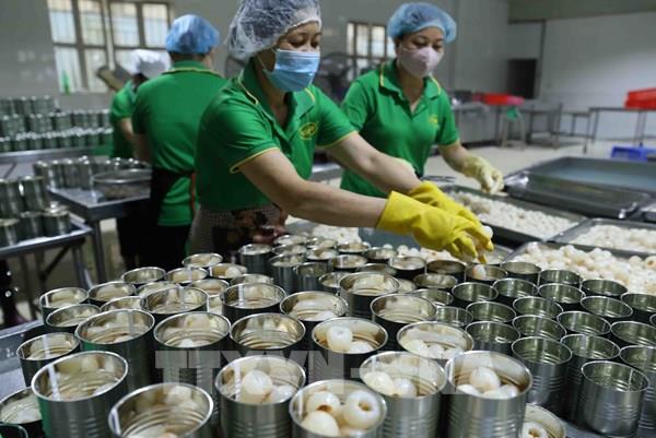 Xuất khẩu Việt Nam đang tiến về đích