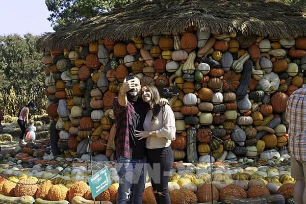 Độc đáo ngôi làng bí ngô cổ tích ở Mỹ