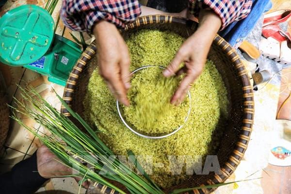 Nghề cốm Vòng khi làng lên phố