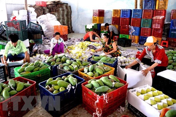 Đa dạng hoá thị trường để xuất khẩu tăng trưởng bền vững