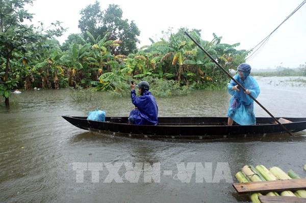 Đà Nẵng sơ tán, đảm bảo an toàn cho hàng trăm hộ dân bị ngập lụt