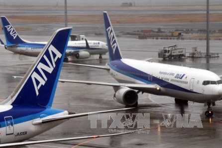 ANA có thể sẽ cho phép 15.000 nhân viên làm việc bán thời gian