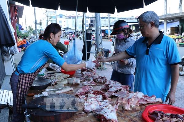 Tạm ngừng nhập khẩu lợn sống từ Thái Lan, giá lợn hơi trong nước vẫn giảm