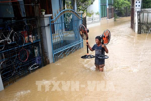 Điện lực Quảng Ngãi gấp rút xử lý sự cố, sớm cấp điện sau mưa bão