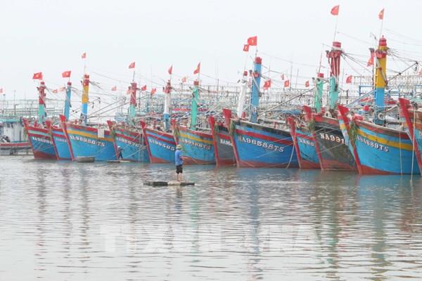 Hải Phòng: Tạm dừng các hoạt động giao thông đường thủy nội địa