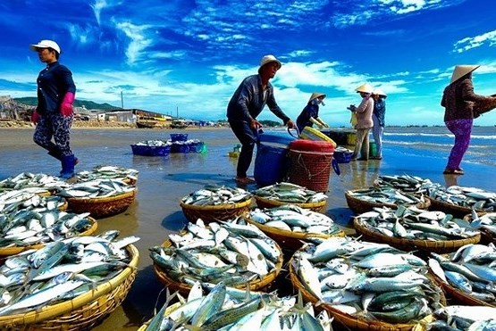 Xuất khẩu thủy sản của Campuchia giảm trên 80%