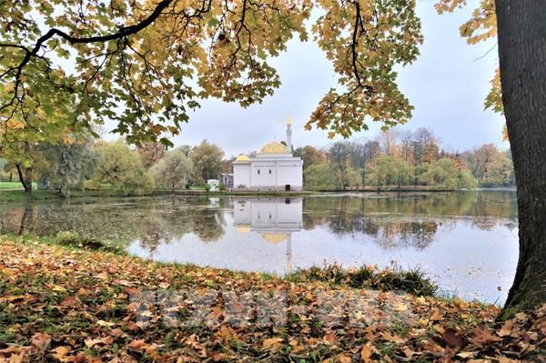 Mùa thu vàng ở “Làng vua” St. Petersburg