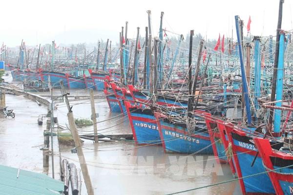 Áp thấp nhiệt đới đi vào Biển Đông, gió giật cấp 9