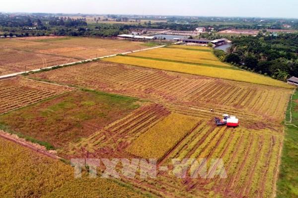 Thu hút doanh nghiệp lớn đầu tư vào nông nghiệp