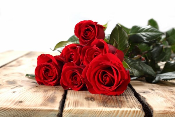 Lời chúc ngày Phụ nữ Việt Nam 20/10 dành tặng người yêu, bạn gái lãng mạn nhất