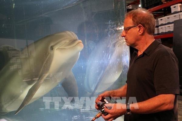 Cá heo robot – hướng tiếp cận nhân văn góp phần bảo vệ động vật hoang dã