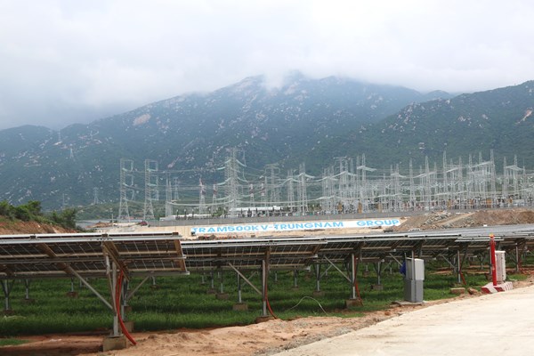 Trung Nam Group khánh thành dự án nhà máy điện mặt trời 12.000 tỷ đồng