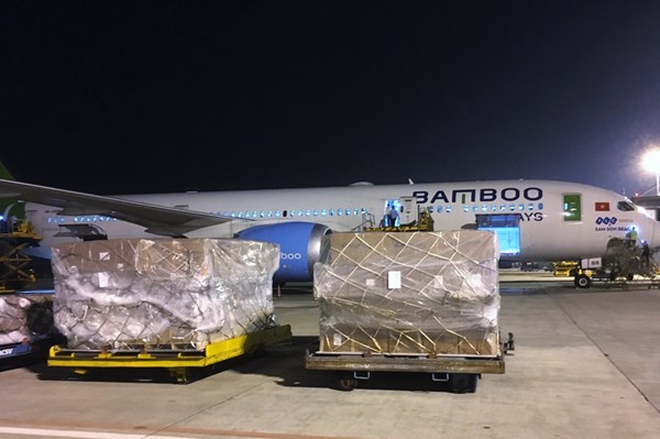 Bamboo Airways đẩy mạnh chở hàng hóa giá trị lớn trên tuyến Việt Nam - Hàn Quốc