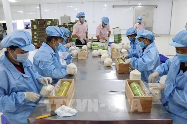 Tuân thủ nghiêm quy định để tránh ảnh hưởng xuất khẩu sang EU