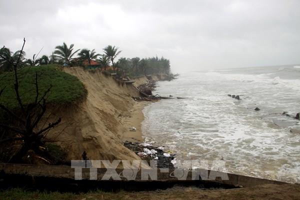 Quảng Nam: Bờ biển Thịnh Mỹ sạt lở hơn 400m do mưa lũ