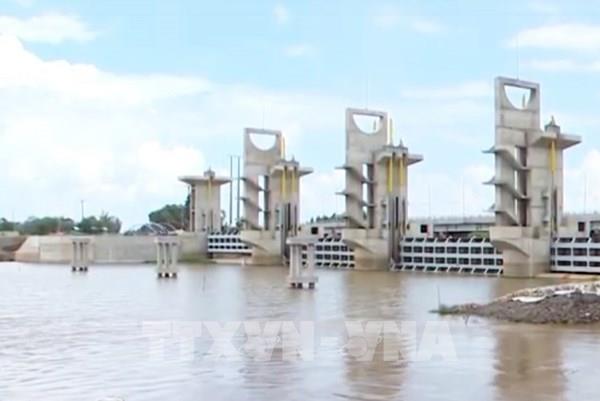 Vận hành xả cống kiểm soát lũ sông Cửu Long và vùng Tứ Giác Long Xuyên