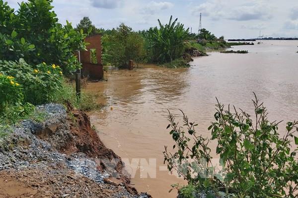 Sạt lở, vỡ đê tại nhiều điểm ở Bến Tre do triều cường dâng cao