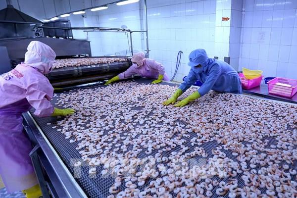 Xuất khẩu nông lâm thủy sản tăng tốc ngay từ đầu năm