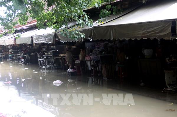 Nhà an toàn tránh lũ giúp người dân vùng hạ lưu sông Thu Bồn bình an vô sự