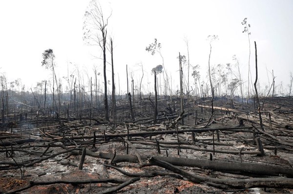 Brazil ngừng hoạt động phòng chống cháy rừng do thiếu nguồn lực