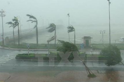 Dự báo thời tiết ngày 24/10, Bắc Trung bộ có mưa vừa, mưa to về đêm