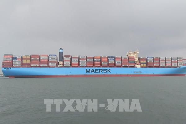Bà Rịa – Vũng Tàu đón tàu container lớn nhất thế giới