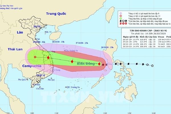 Quảng Nam: Không để người ở lại trên lồng bè nuôi trồng trước 18 giờ ngày 27/10
