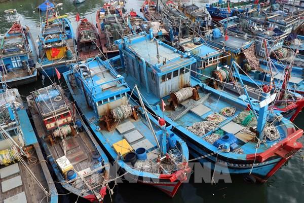 Bão số 9 giảm cấp, hướng về đất liền phía Đông tỉnh Quảng Ninh