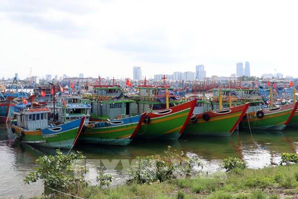 Bộ Quốc phòng chỉ đạo sẵn sàng ứng phó bão số 9