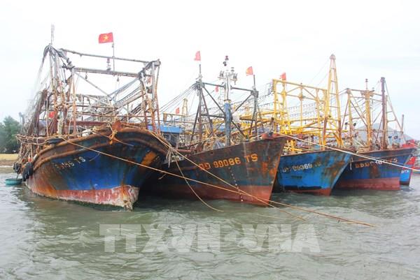 Ứng phó bão số 9: Bộ Giao thông Vận tải phát đi công điện khẩn