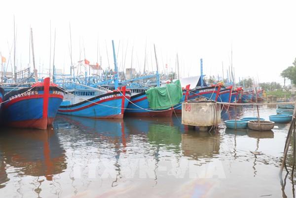 Ứng phó bão số 9: Cục Hàng hải tổ chức kiểm đếm tàu thuyền