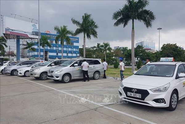 Tổng cục Đường bộ lên tiếng về chứng chỉ hành nghề cho lái xe ô tô kinh doanh vận tải