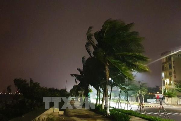 Bão số 9 ở ngay vùng biển ngoài khơi từ Đà Nẵng đến Phú Yên, gió mạnh cấp 13, giật cấp 16
