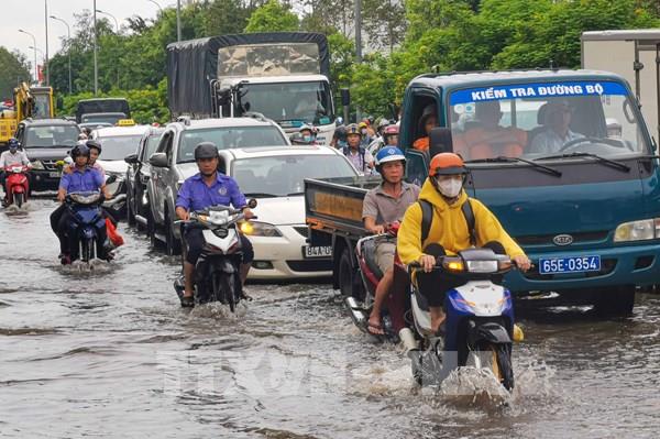 Triều cường ở miền Tây: Quy luật  .. "đến hẹn lại ngập"