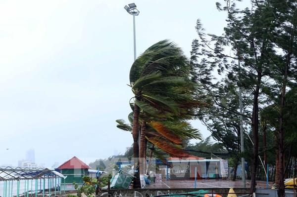 Đà Nẵng có gió giật mạnh, mưa to, gió thổi bay nhiều biển quảng cáo