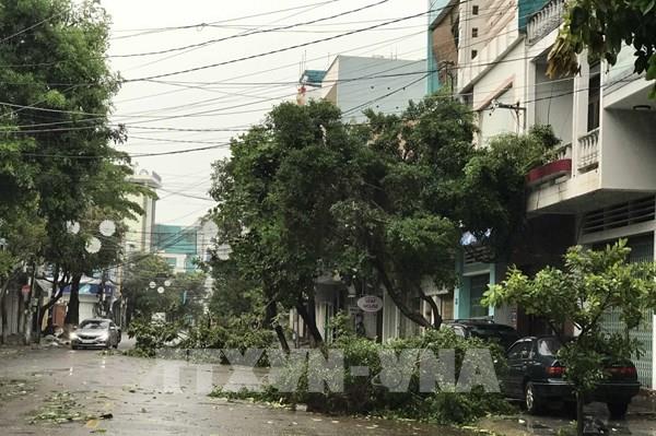 Bão số 9: Gió sẽ mạnh nhất vào trưa và đầu giờ chiều 28/10