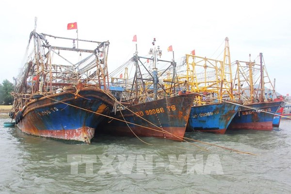 Bão số 9: Ngành giao thông linh hoạt các giải pháp ứng phó